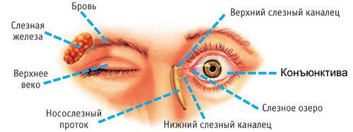 строение